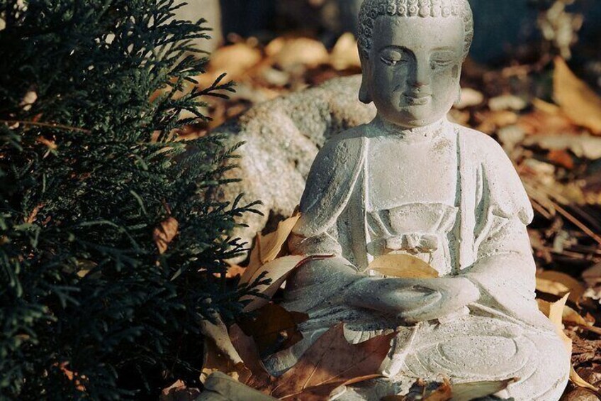 Powerful Breathwork Meditation + Tea