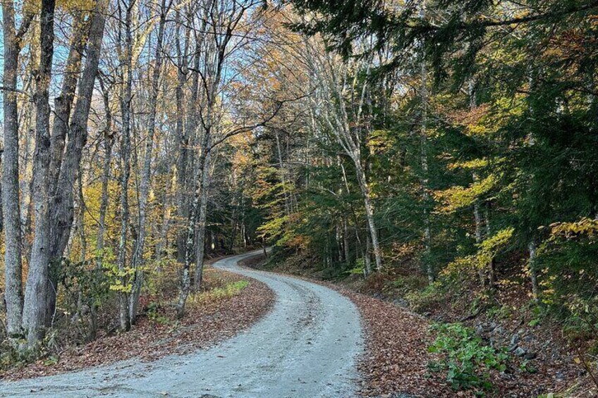 Vermont Wayfinders Sampler Guided Tour