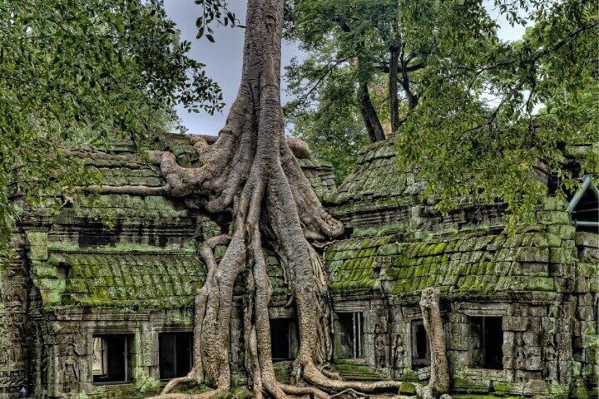 Ta Prohm, Cambodia