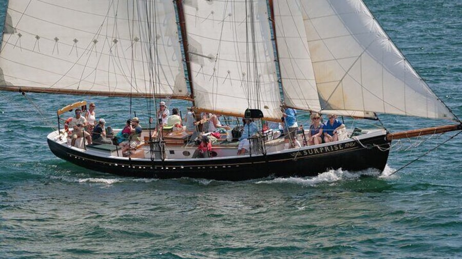 Day Sails and Sunset tours on Schooner Surprise in Camden Maine