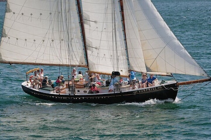 Day Sails and Sunset tours on Schooner Surprise in Camden Maine