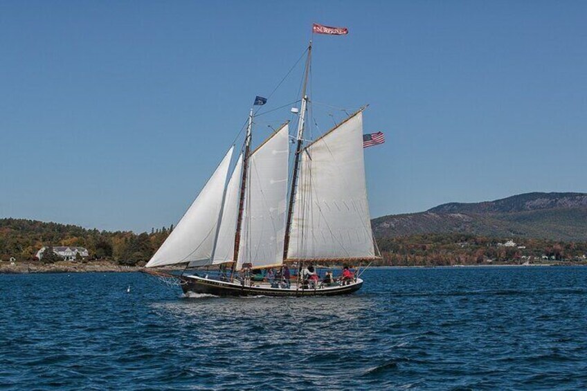 Day Sails and Sunset tours on Schooner Surprise in Camden Maine 