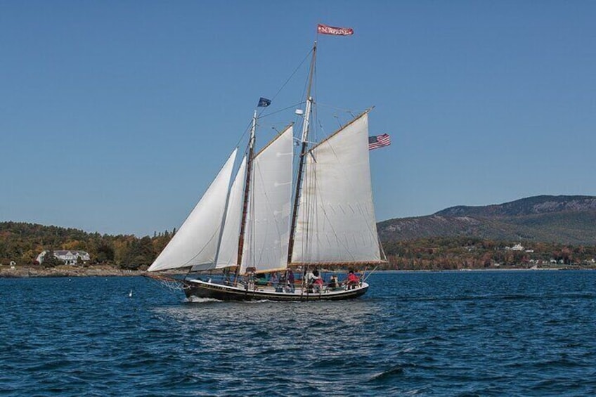 Day Sails and Sunset tours on Schooner Surprise in Camden Maine
