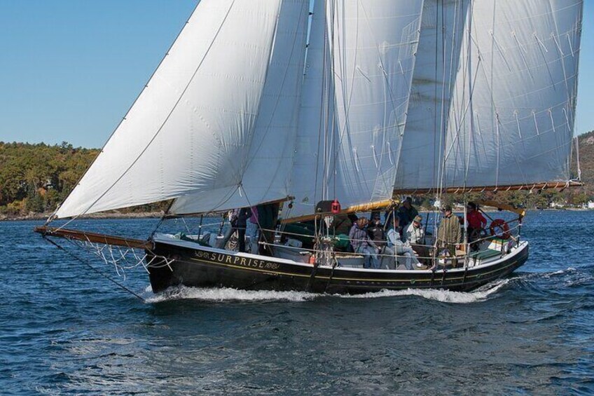 Day Sails and Sunset tours on Schooner Surprise in Camden Maine 