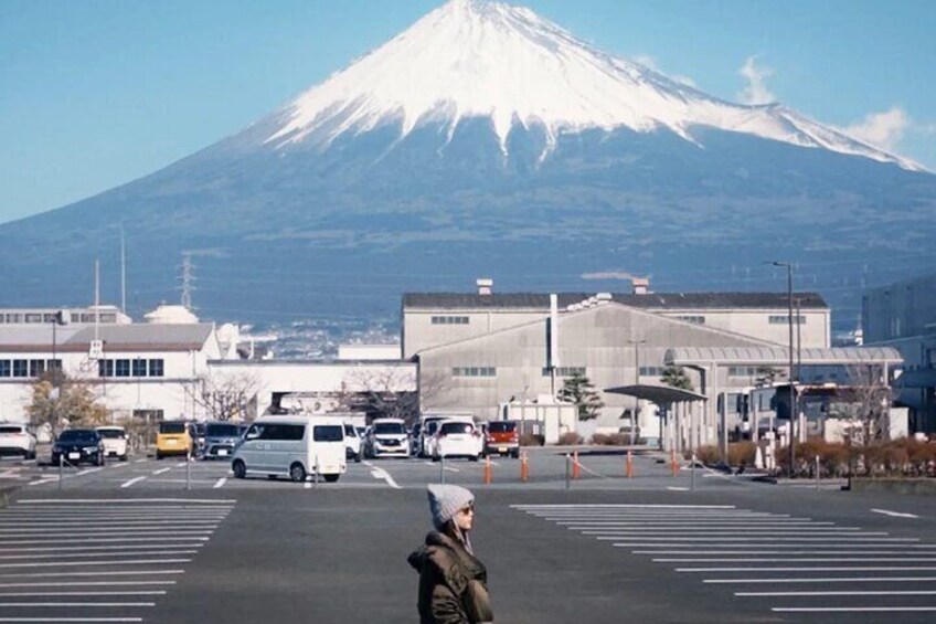 Mount Fuji Full Day Private Tour with English Speaking Guide 
