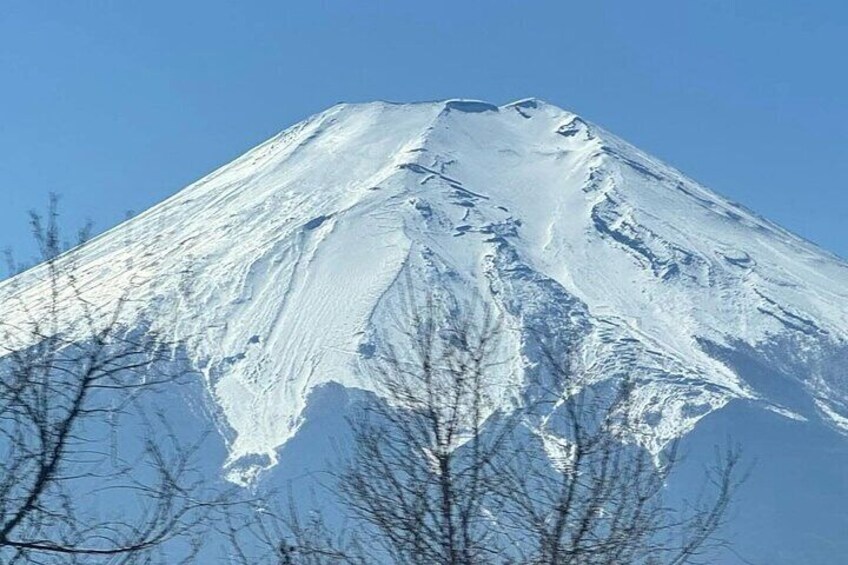 Mount Fuji Full Day Private Tour with English Speaking Guide 