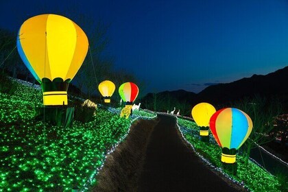 Mt. Fuji 5th Popular Spots & Sagamiko Illumination Tour fr Tokyo