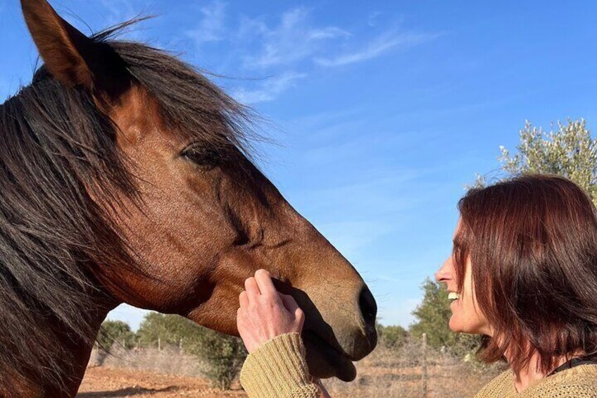Rescue Farm Visit in Marrakech Countryside