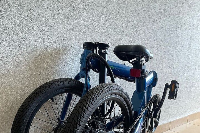 Electric Bicycle Tour