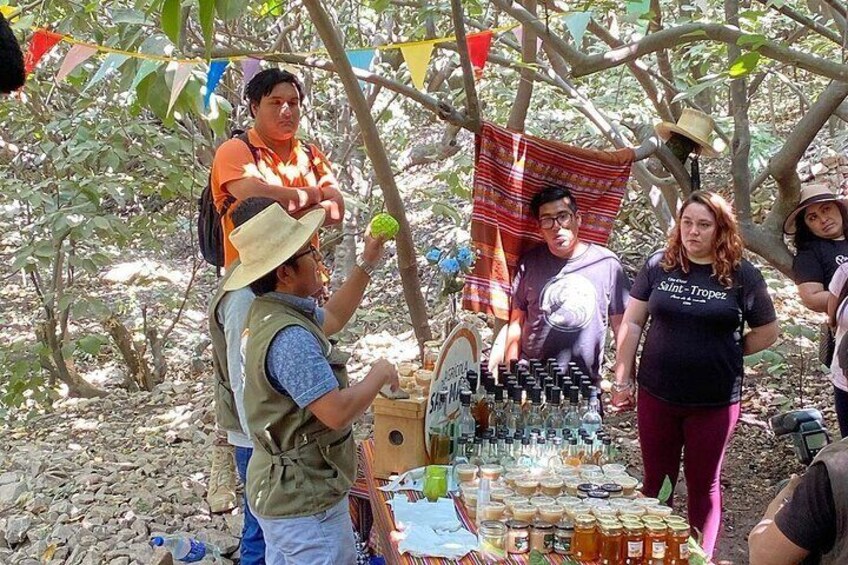 Lima Full Day Adrenaline Adventure at San Mateo de Otao