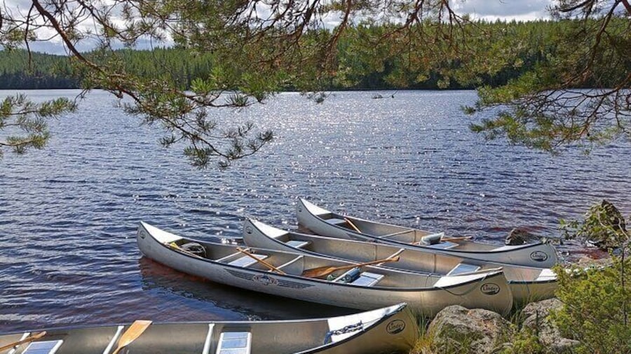 Guided Canoe Tour on the Lake Venjanssjön
