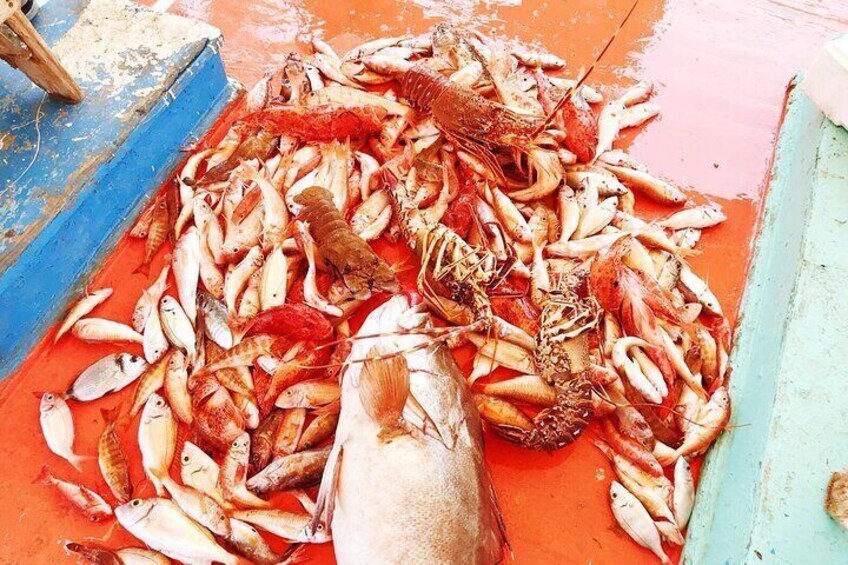 Authentic Kefalonian Fishing Cruise from Agia Pelagia Port