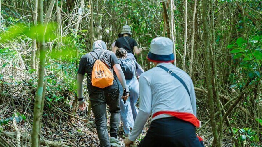Shared Hiking and Paragliding Experience in Nha Trang
