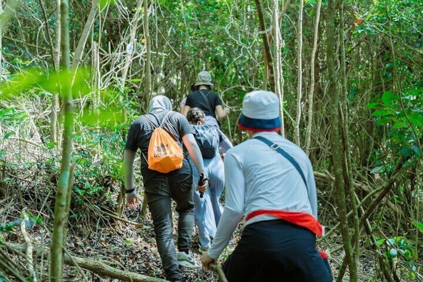 Shared Hiking and Paragliding Experience in Nha Trang 