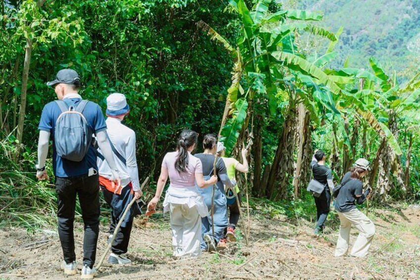 Shared Hiking and Paragliding Experience in Nha Trang