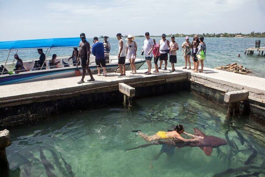 Visit 3 Mucura Tintipan Islands and Santa Cruz from Cartagena