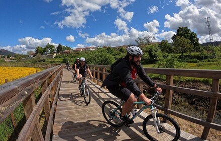 BTTour Arouca: Ecovia do Arda