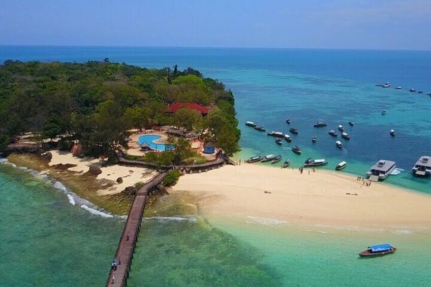 Prison Island Half Day Journey With Transfers - Zanzibar