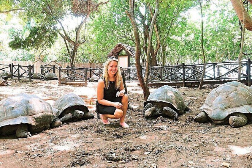Prison Island Half Day Journey With Transfers - Zanzibar