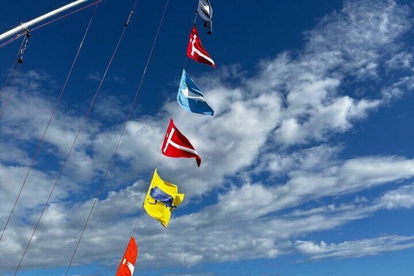 Fish flags flying representing what was caught on the days trip.