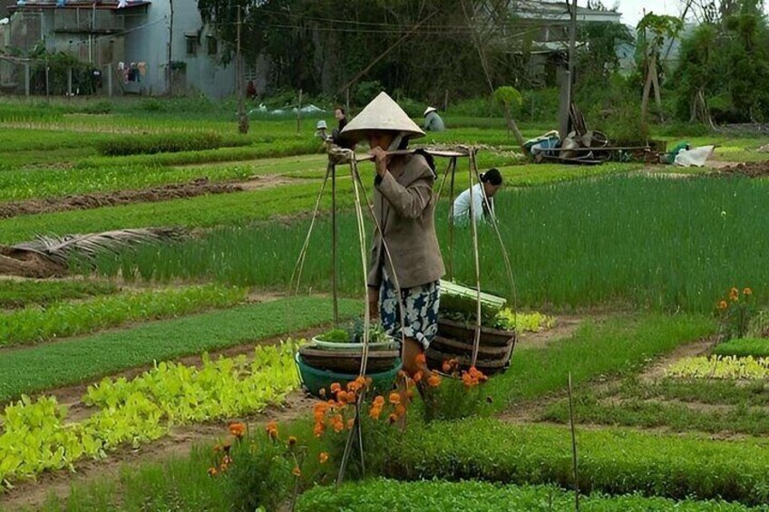 Explore Tra Que Vegetable Farm in Bicycle Tour