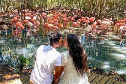 Full Day Tour to Aviary plus Playa Blanca Baru with Lunch