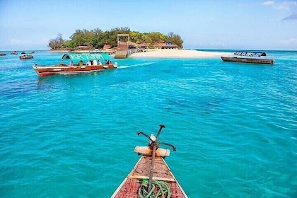 Nungwi Village & Tortue marine Natation, Transfert inclus –Zanzibar