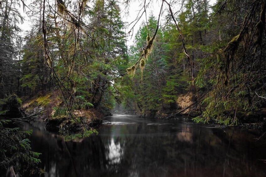 Scenic Coves For Wilderness Dining