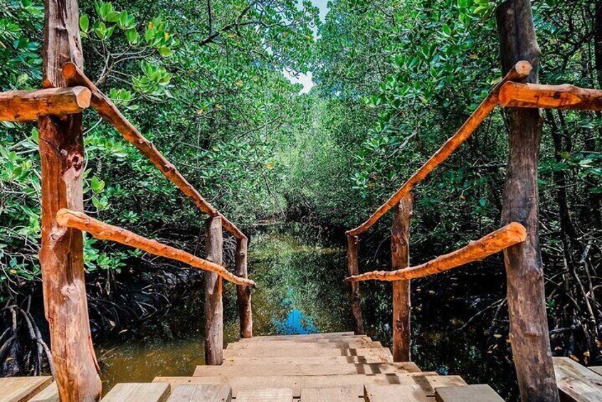 Jozani Forest & Rock Restaurant Experience & Transfer - Zanzibar