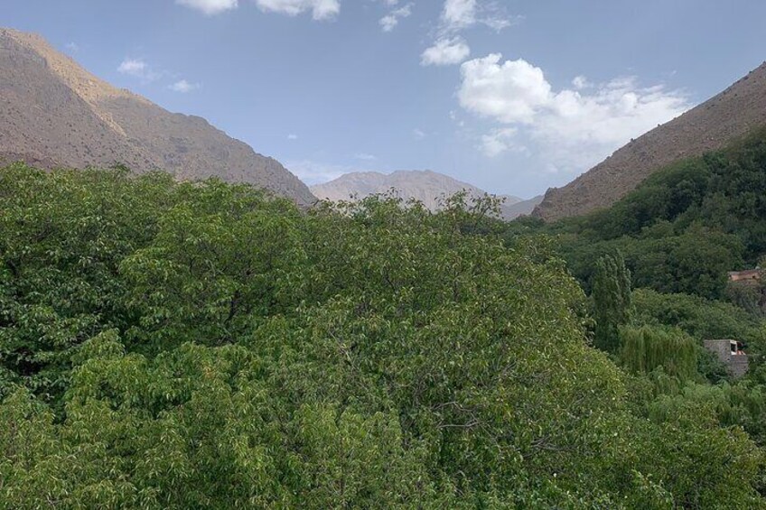 Full Day To Discover Ouirgane A Scenic Escape from Marrakech