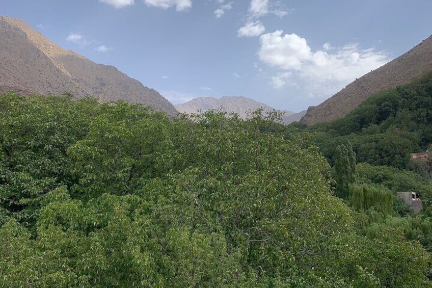 Full Day To Discover Ouirgane A Scenic Escape from Marrakech