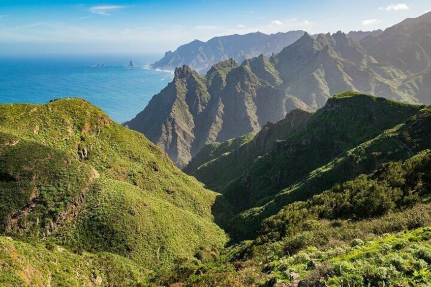 Contrasts of Tenerife