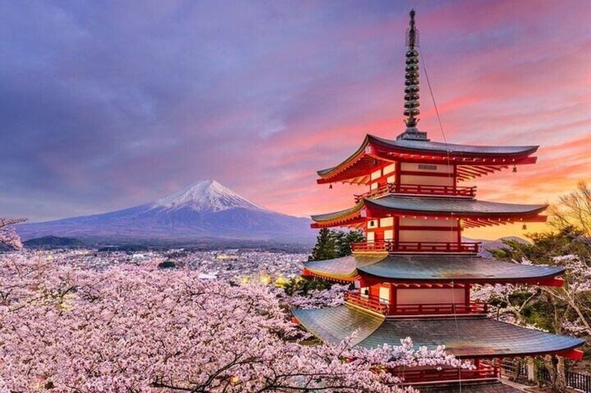 Head to the popular photo spot "Arakurayama Sengen Park". You can enjoy the panoramic view of the five-storied pagoda, Mt. Fuji, and even cherry blossoms in spring

