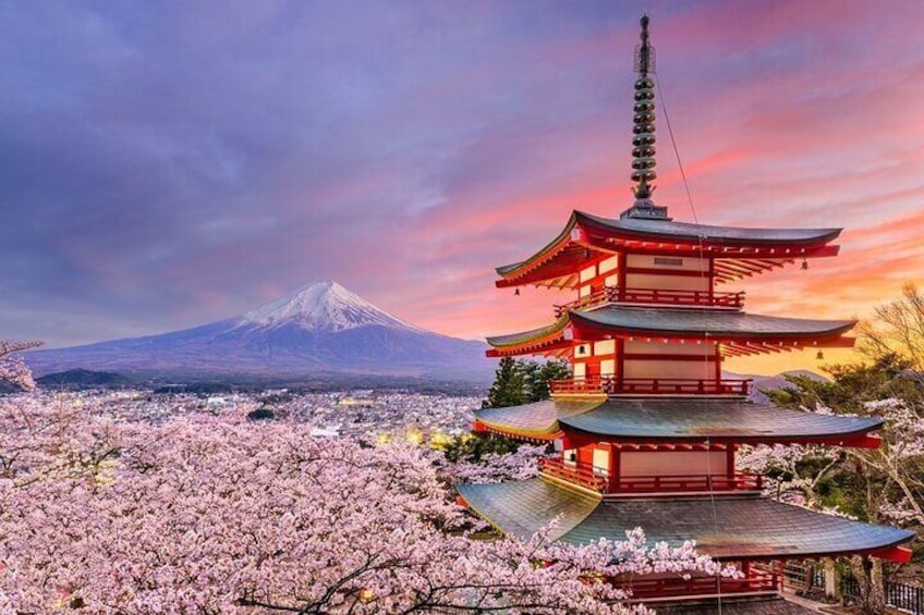 Head to the popular photo spot "Arakurayama Sengen Park". You can enjoy the panoramic view of the five-storied pagoda, Mt. Fuji, and even cherry blossoms in spring