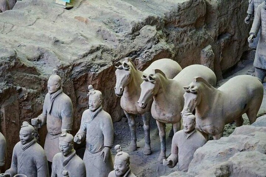 Beijing to Xi'an Terracotta Warriors Day Trip with Bullet Train