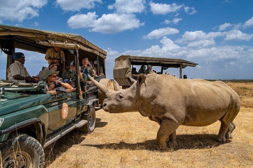 4 Day Safari Tour from Nairobi