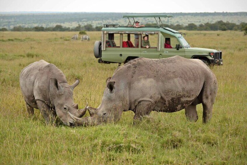 4 Day Safari Tour from Nairobi