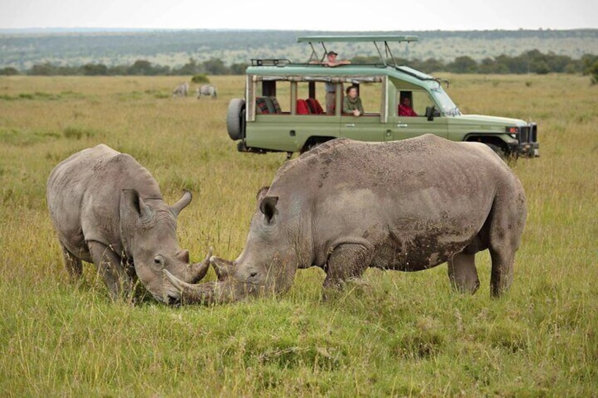 4 Day Safari Tour from Nairobi
