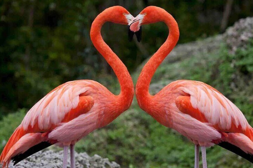 4 Day Safari Tour from Nairobi