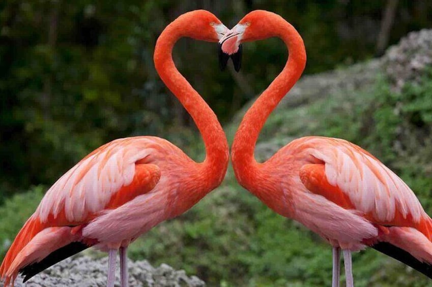 4 Day Safari Tour from Nairobi