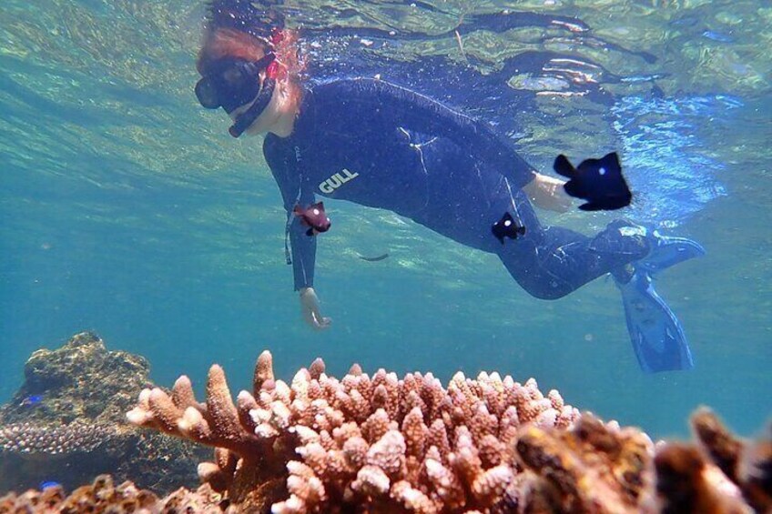 Discover Okinawa's Hidden Treasures Snorkeling Tour at Blue Cave