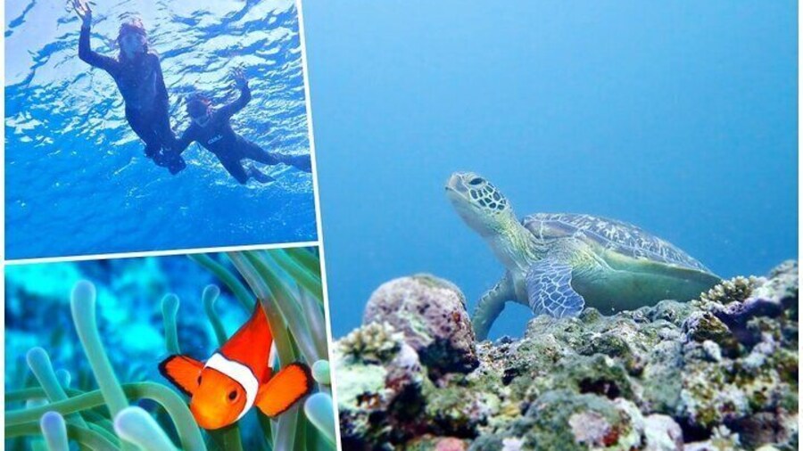 Discover Okinawa's Hidden Treasures Snorkeling Tour at Blue Cave