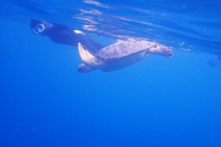 Discover Okinawa's Hidden Treasures Snorkeling Tour at Blue Cave