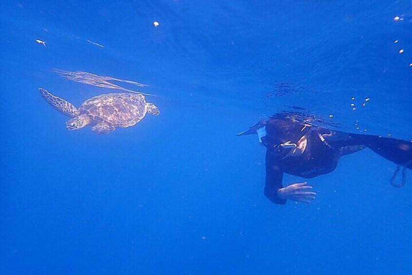 Discover Okinawa's Hidden Treasures Snorkeling Tour at Blue Cave
