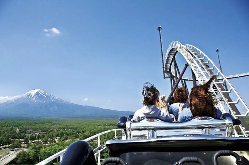 The park is set against the scenic backdrop of Mount Fuji.
