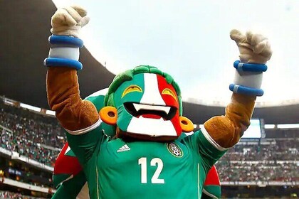 Watch a Football Match at the Satdium