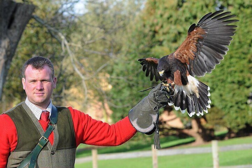 Leeds Castle Heritage and History Admission Tickets