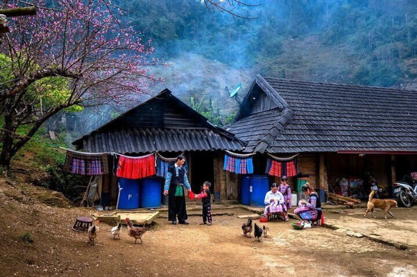 Half Day Sapa Cat Cat Explore Waterfall, Workshop, H'mong Local