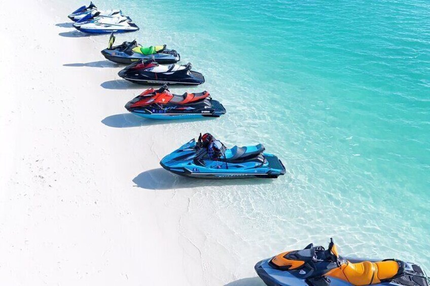 Private 8 Hours Full Day Tour at Bleus