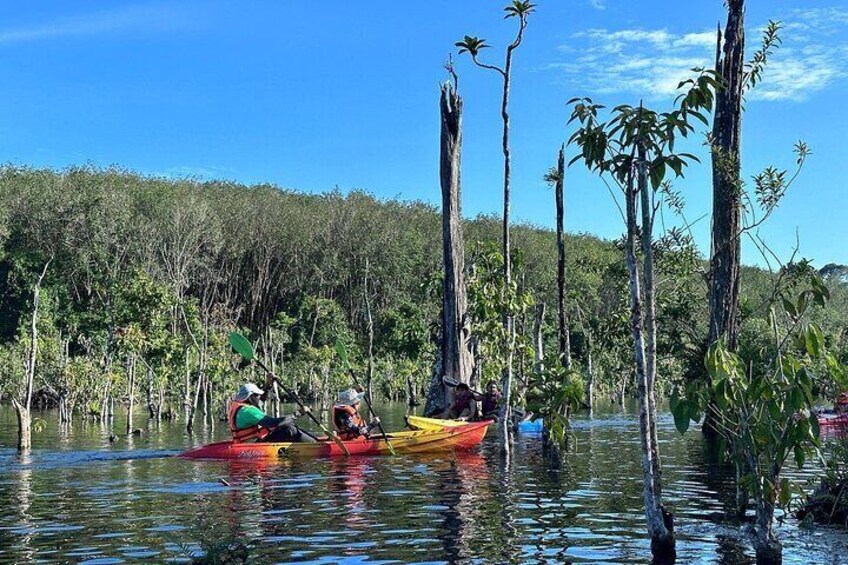  Krabi Clear Water Canal (Klong Root) Kayak Tour